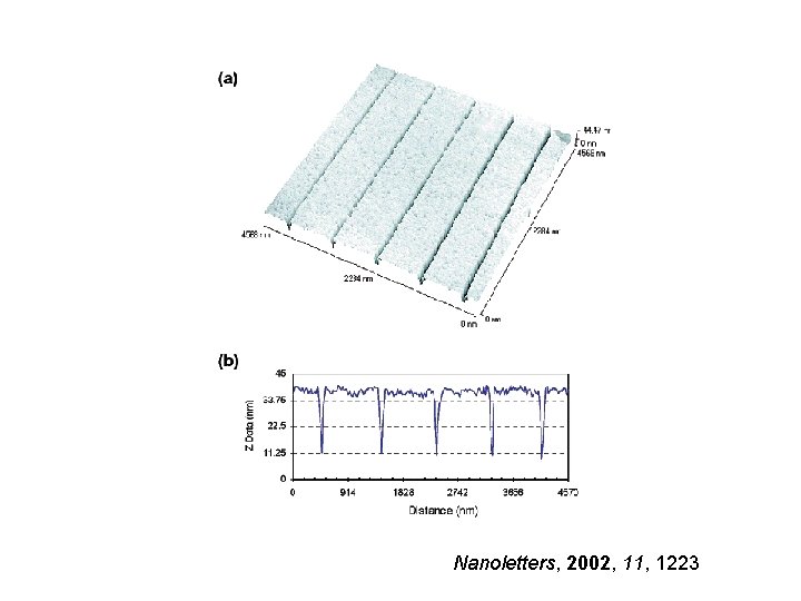 Nanoletters, 2002, 11, 1223 