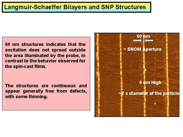 Langmuir-Schaeffer Bilayers and SNP Structures 60 nm structures indicates that the excitation does not