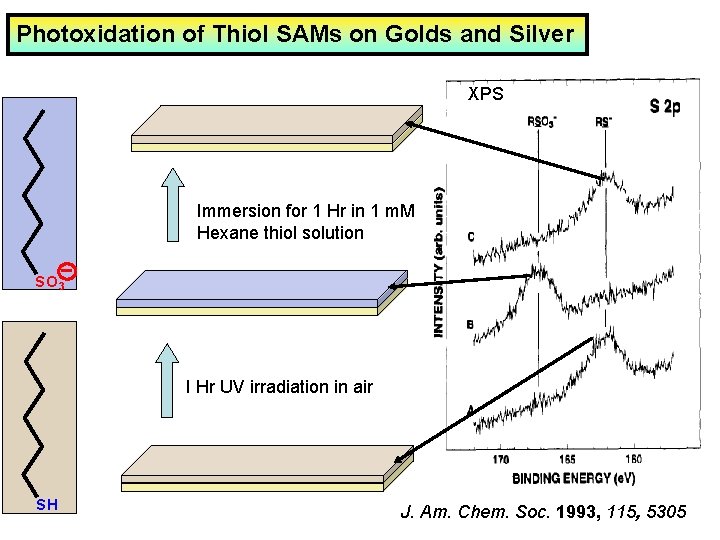 Photoxidation of Thiol SAMs on Golds and Silver XPS Immersion for 1 Hr in