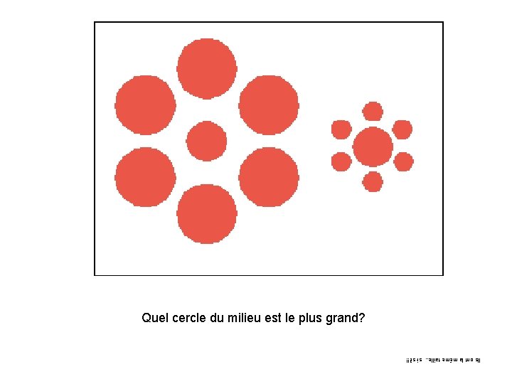 Quel cercle du in milieu est le plus grand? Which circle the middle is