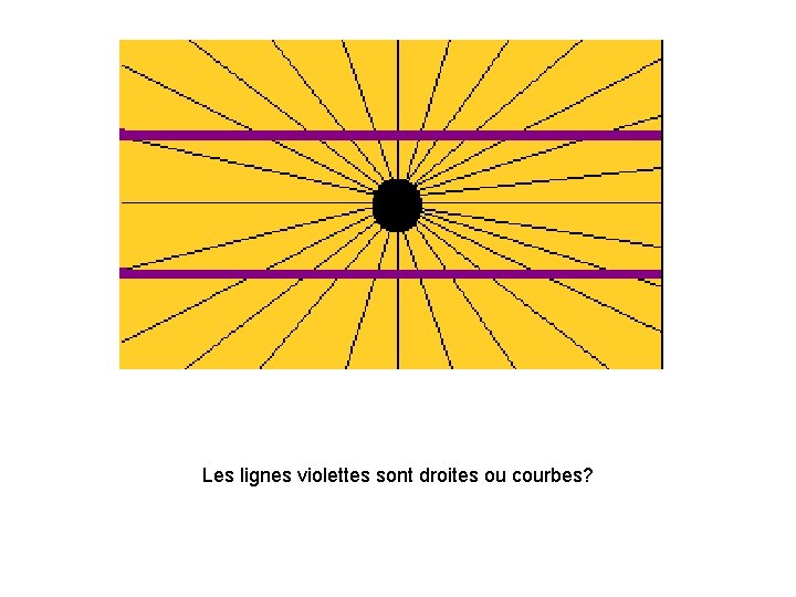 Les lignes violettes sont droites ou courbes? 