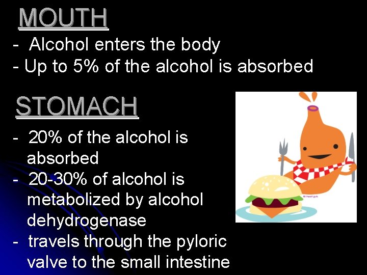 MOUTH - Alcohol enters the body - Up to 5% of the alcohol is