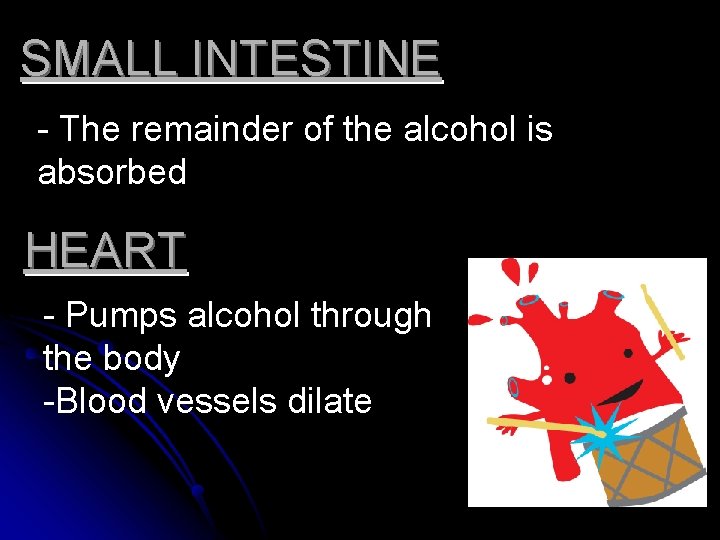 SMALL INTESTINE - The remainder of the alcohol is absorbed HEART - Pumps alcohol