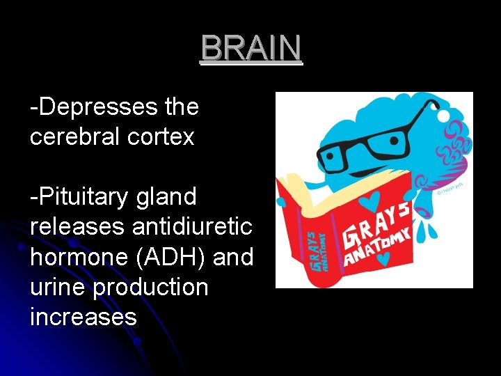 BRAIN -Depresses the cerebral cortex -Pituitary gland releases antidiuretic hormone (ADH) and urine production