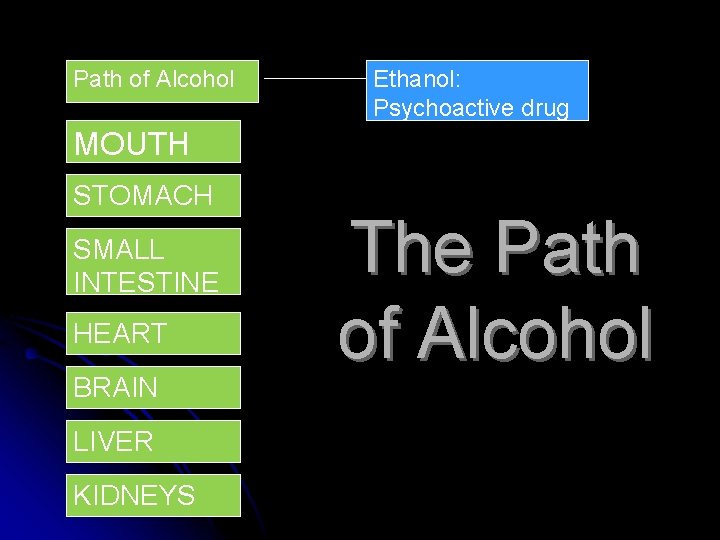 Path of Alcohol Ethanol: Psychoactive drug MOUTH STOMACH SMALL INTESTINE HEART BRAIN LIVER KIDNEYS