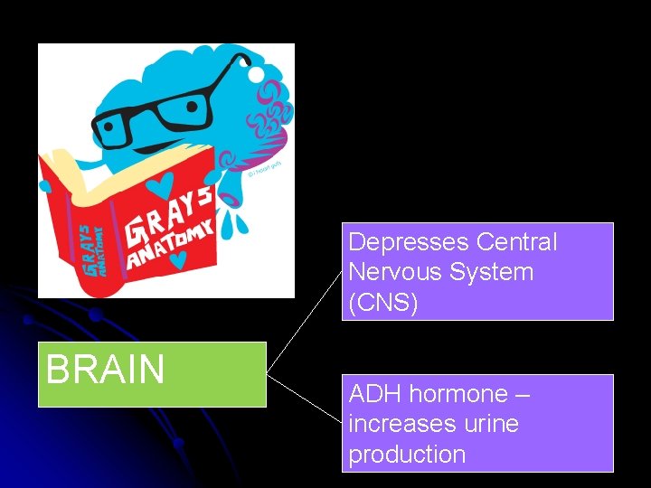 Depresses Central Nervous System (CNS) BRAIN ADH hormone – increases urine production 