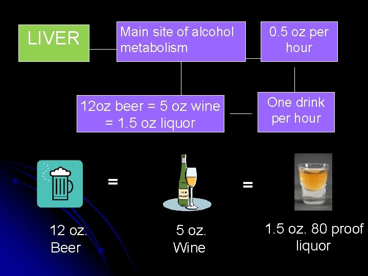 Main site of alcohol metabolism LIVER 0. 5 oz per hour One drink per