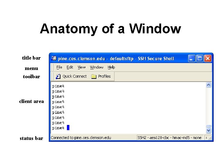 Anatomy of a Window title bar menu toolbar client area status bar 