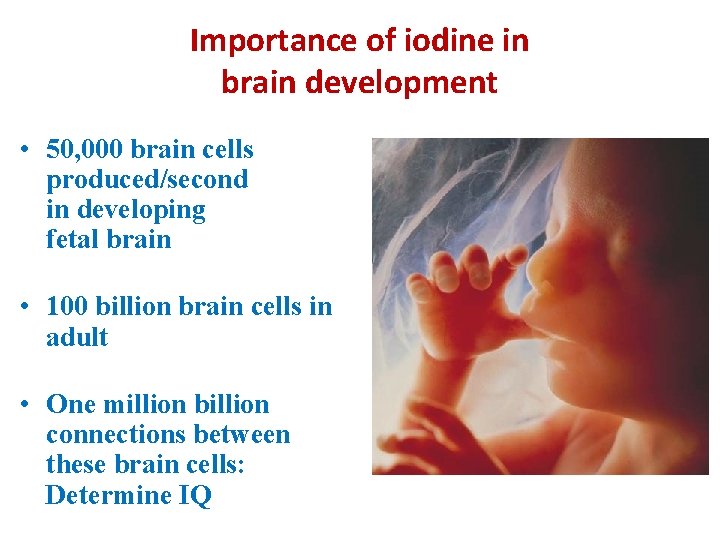Importance of iodine in brain development • 50, 000 brain cells produced/second in developing