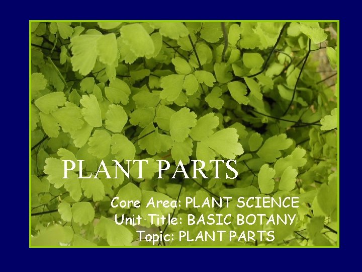 PLANT PARTS Core Area: PLANT SCIENCE Unit Title: BASIC BOTANY Topic: PLANT PARTS 