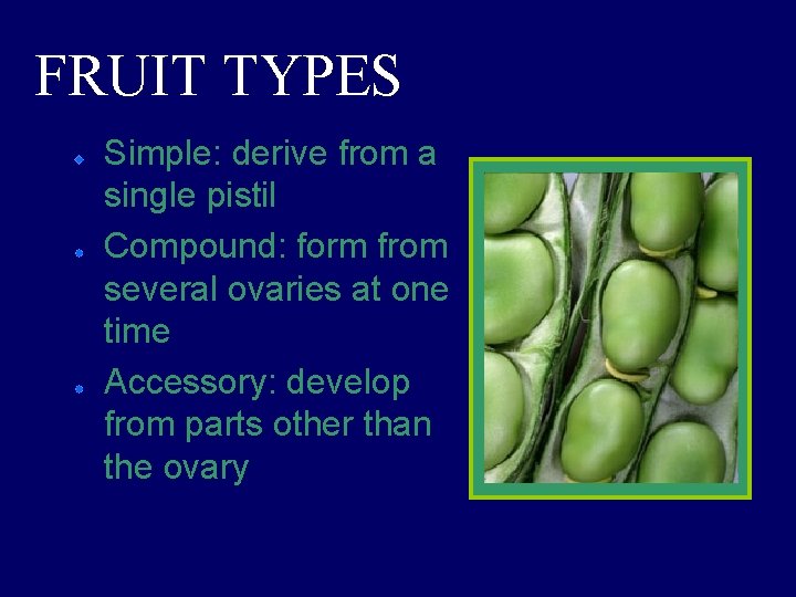 FRUIT TYPES Simple: derive from a single pistil Compound: form from several ovaries at