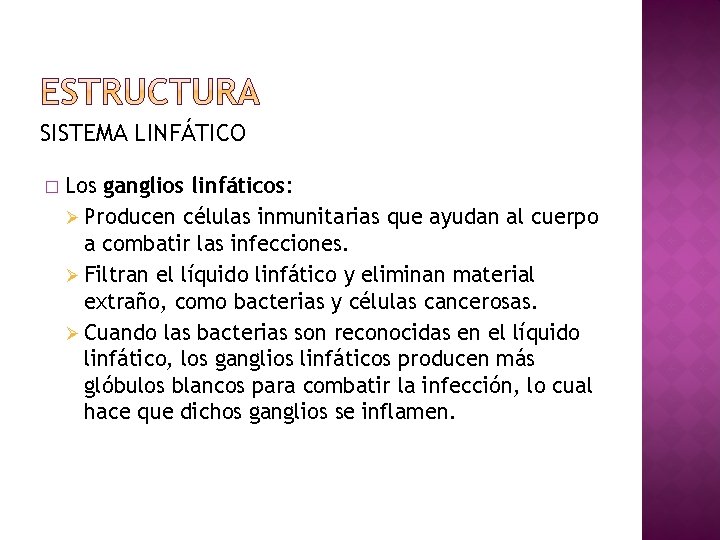 SISTEMA LINFÁTICO � Los ganglios linfáticos: Ø Producen células inmunitarias que ayudan al cuerpo