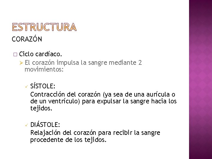 CORAZÓN � Ciclo cardíaco. Ø El corazón impulsa la sangre mediante 2 movimientos: ü