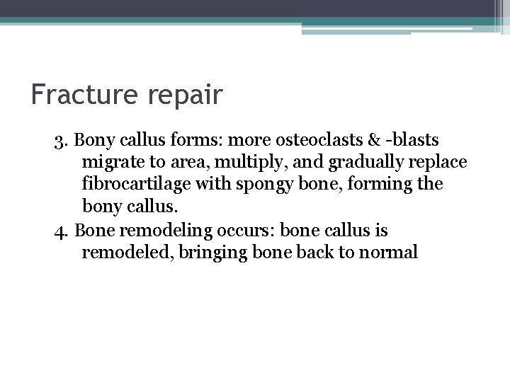 Fracture repair 3. Bony callus forms: more osteoclasts & -blasts migrate to area, multiply,