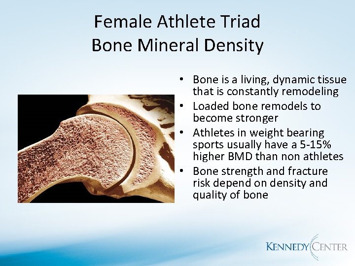Female Athlete Triad Bone Mineral Density • Bone is a living, dynamic tissue that