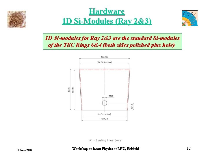 Hardware 1 D Si-Modules (Ray 2&3) 1 D Si-modules for Ray 2&3 are the