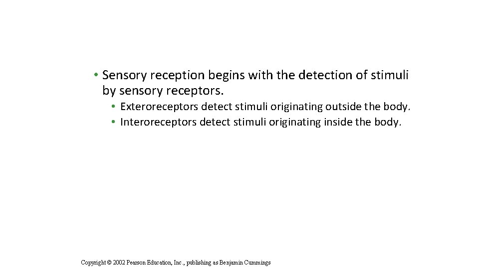  • Sensory reception begins with the detection of stimuli by sensory receptors. •