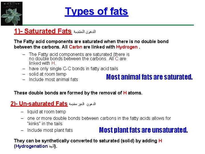Types of fats 1)- Saturated Fats ﺍﻟﺪﻫﻮﻥ ﺍﻟﻤﺸﺒﻌﺔ The Fatty acid components are saturated