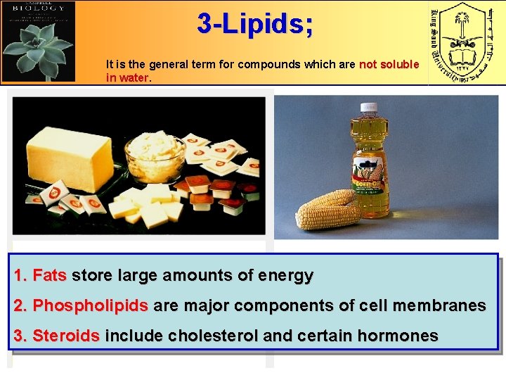 3 -Lipids; It is the general term for compounds which are not soluble in