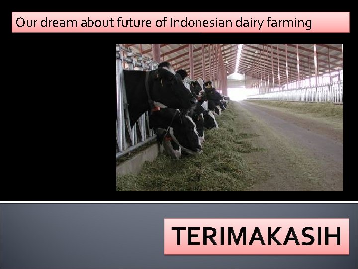Our dream about future of Indonesian dairy farming 