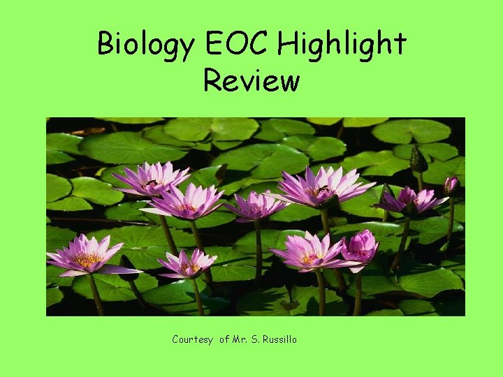 Biology EOC Highlight Review Courtesy of Mr. S. Russillo 
