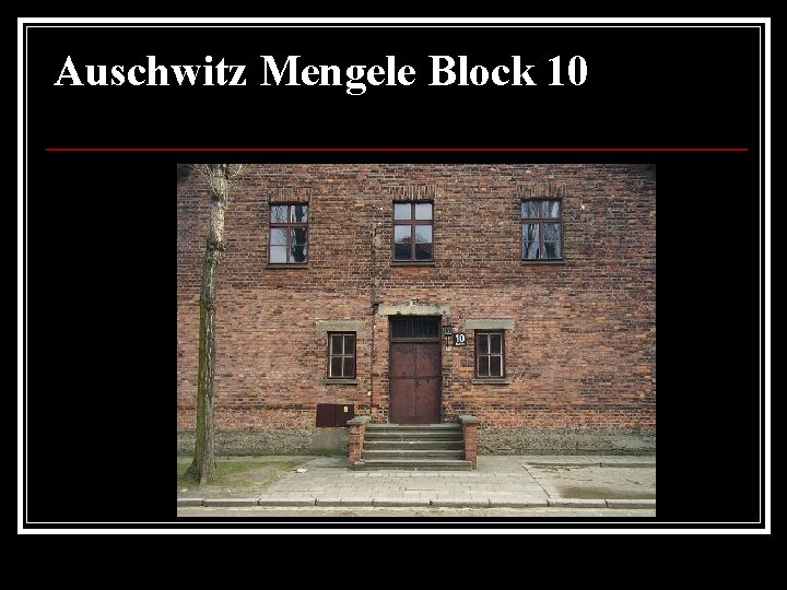 Auschwitz Mengele Block 10 