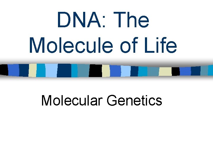 DNA: The Molecule of Life Molecular Genetics 