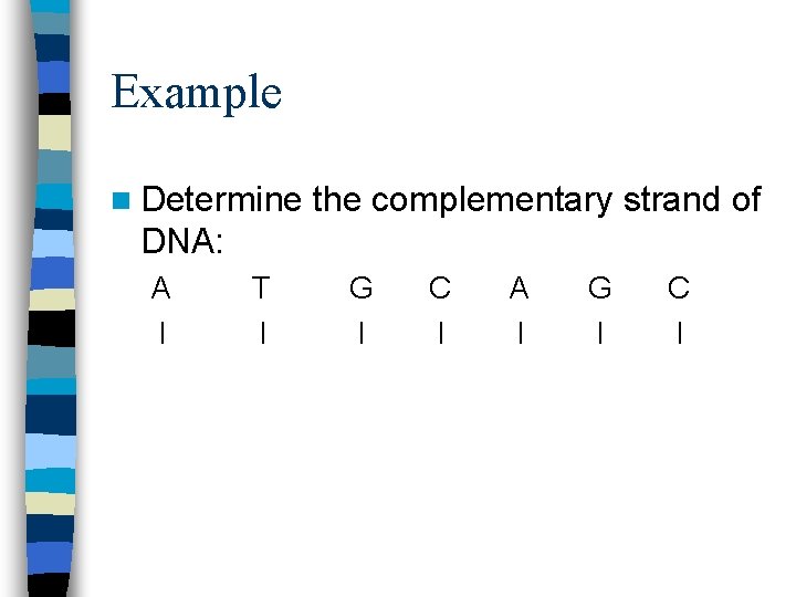 Example n Determine the complementary strand of DNA: A I T I G I
