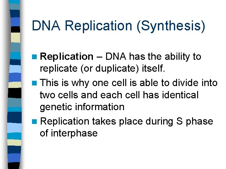 DNA Replication (Synthesis) n Replication – DNA has the ability to replicate (or duplicate)