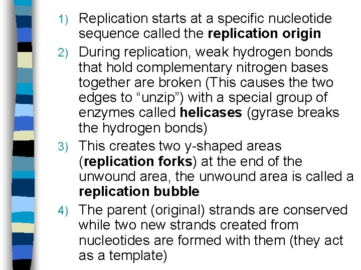 Replication starts at a specific nucleotide sequence called the replication origin 2) During replication,