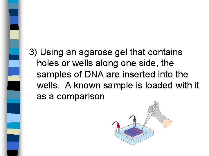 3) Using an agarose gel that contains holes or wells along one side, the