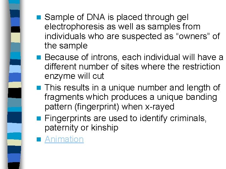 n n n Sample of DNA is placed through gel electrophoresis as well as