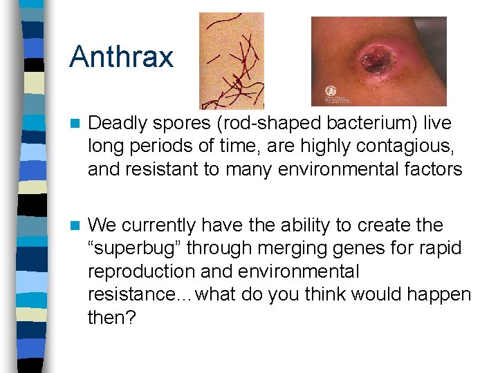 Anthrax n Deadly spores (rod-shaped bacterium) live long periods of time, are highly contagious,