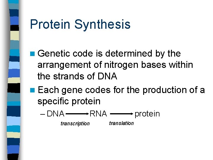 Protein Synthesis n Genetic code is determined by the arrangement of nitrogen bases within