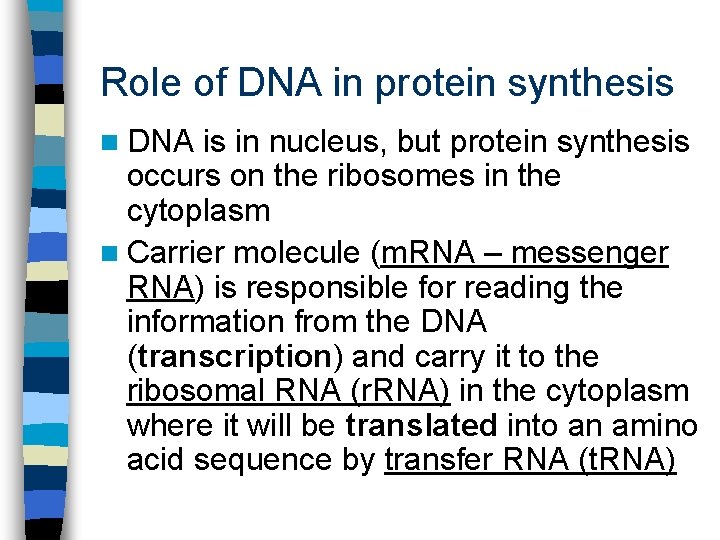 Role of DNA in protein synthesis n DNA is in nucleus, but protein synthesis