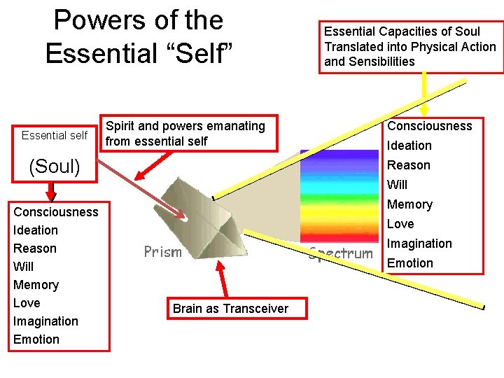 Powers of the Essential “Self” Essential self Spirit and powers emanating from essential self