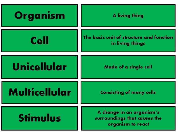 Organism A living thing Cell The basic unit of structure and function in living