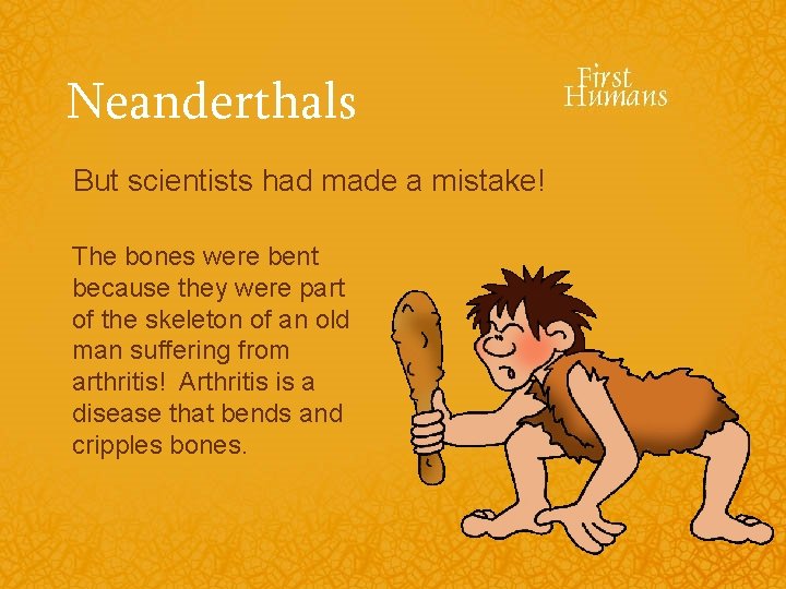 Neanderthals But scientists had made a mistake! The bones were bent because they were