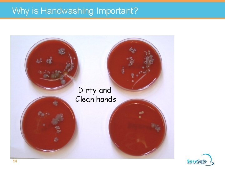 Why is Handwashing Important? Dirty and Clean hands 14 