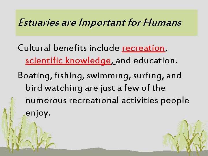 Estuaries are Important for Humans Cultural benefits include recreation, scientific knowledge, and education. Boating,