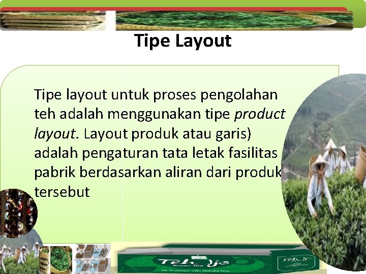 Tipe Layout Tipe layout untuk proses pengolahan teh adalah menggunakan tipe product layout. Layout