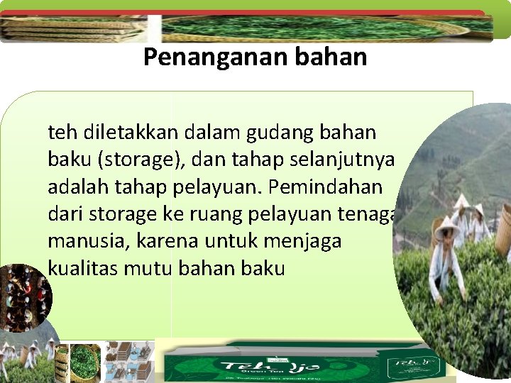 Penanganan bahan teh diletakkan dalam gudang bahan baku (storage), dan tahap selanjutnya adalah tahap