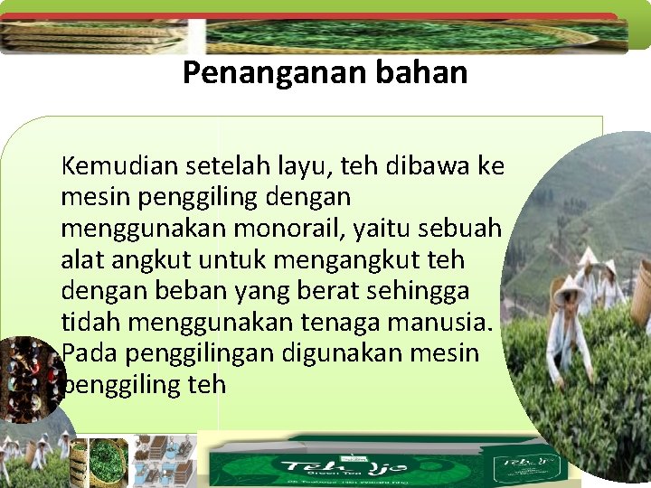 Penanganan bahan Kemudian setelah layu, teh dibawa ke mesin penggiling dengan menggunakan monorail, yaitu