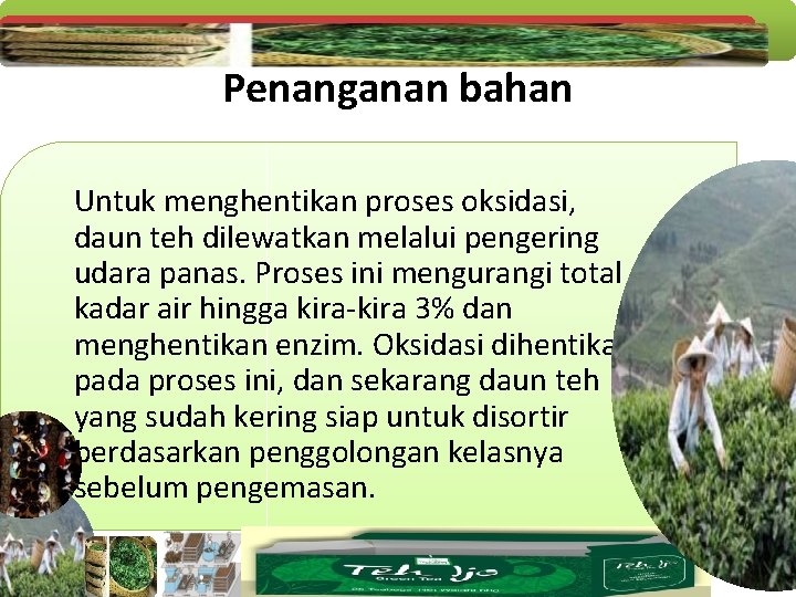 Penanganan bahan Untuk menghentikan proses oksidasi, daun teh dilewatkan melalui pengering udara panas. Proses