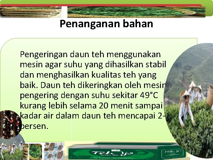 Penanganan bahan Pengeringan daun teh menggunakan mesin agar suhu yang dihasilkan stabil dan menghasilkan