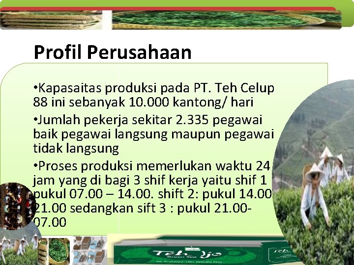 Profil Perusahaan • Kapasaitas produksi pada PT. Teh Celup 88 ini sebanyak 10. 000