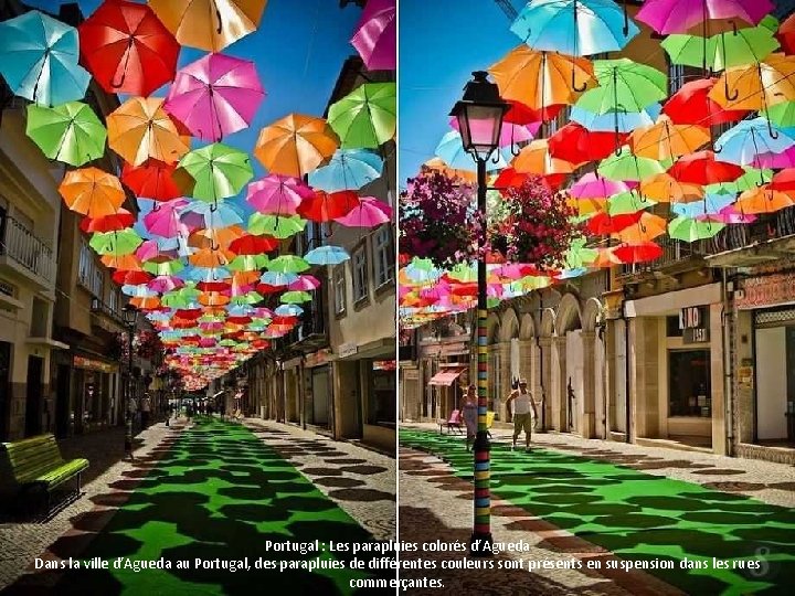 Portugal : Les parapluies colorés d’Agueda Dans la ville d’Agueda au Portugal, des parapluies