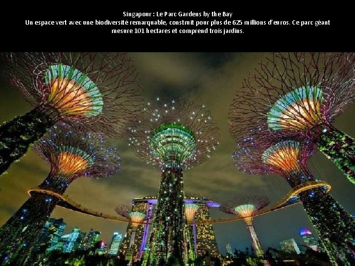 Singapour : Le Parc Gardens by the Bay Un espace vert avec une biodiversité