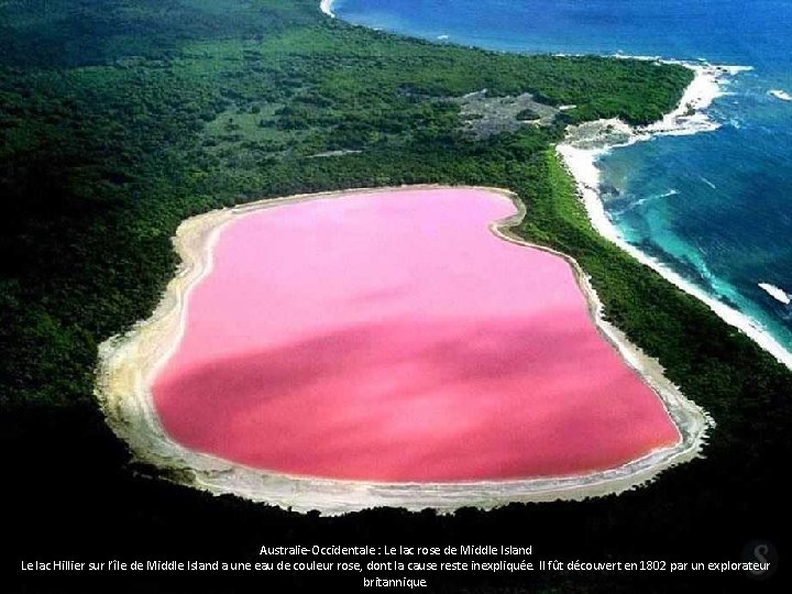 Australie-Occidentale : Le lac rose de Middle Island Le lac Hillier sur l’île de