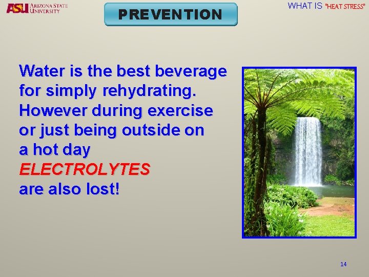 PREVENTION WHAT IS “HEAT STRESS” Water is the best beverage for simply rehydrating. However